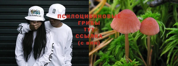 молекула духа Алзамай