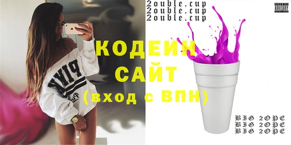 молекула духа Алзамай