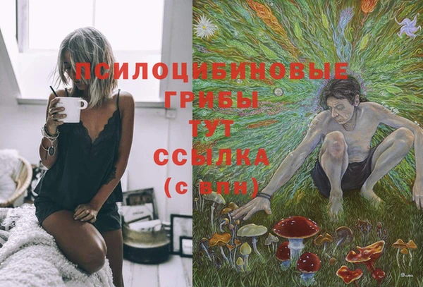 не бодяженный Аркадак