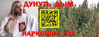 гашик Тула