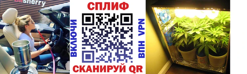 где купить наркоту  гидра ССЫЛКА  Канабис White Widow  Светлоград 